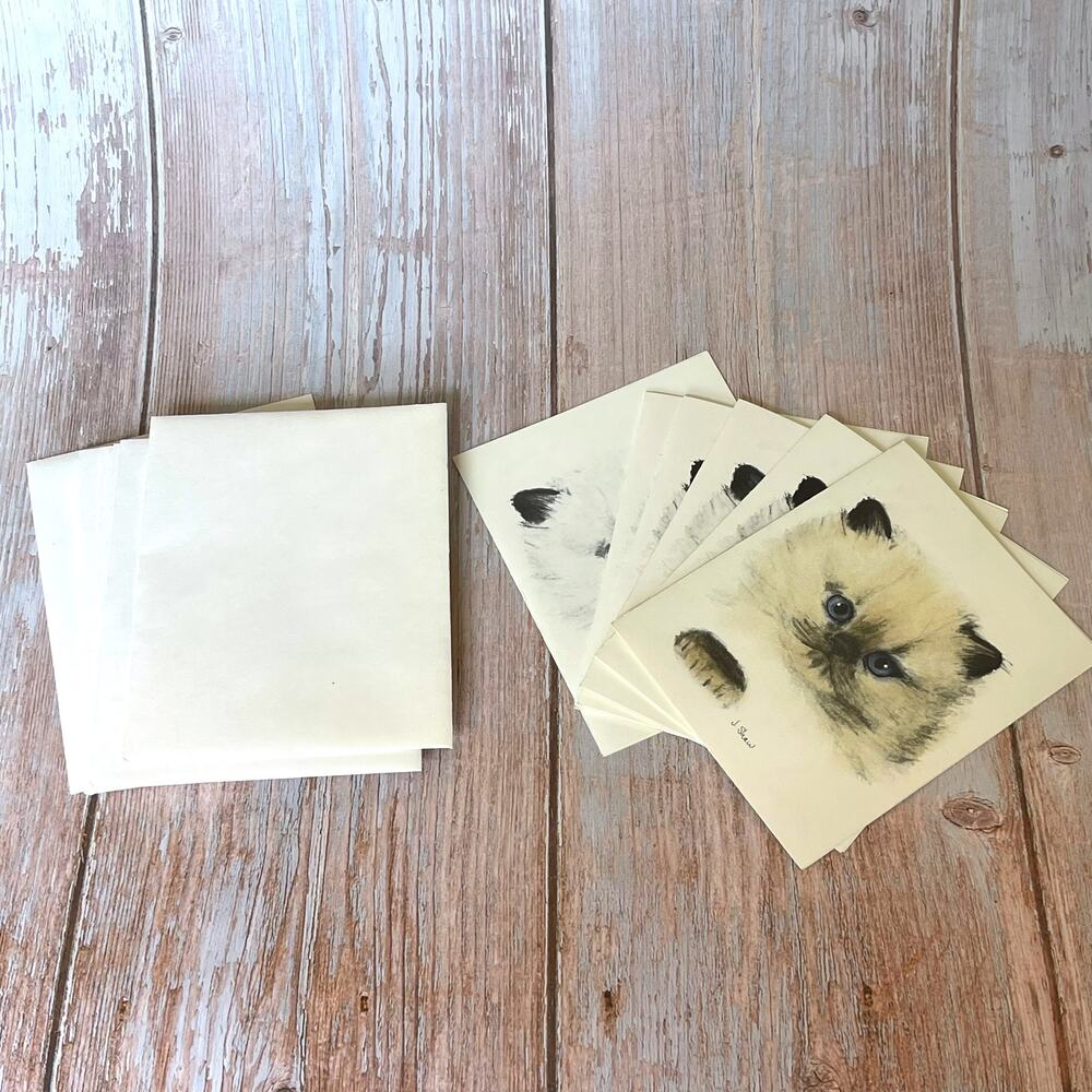 Vintage J Shaw Himalayan Persian Cat Blank Greeting Cards Set of 6 Cat Show Art